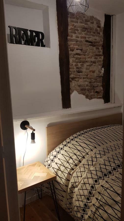 Appartement Avec Cour ★ Spacieux ★ Hyper Centre Castres  Exteriör bild