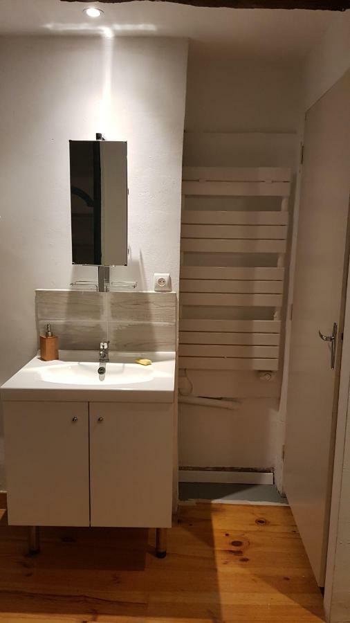 Appartement Avec Cour ★ Spacieux ★ Hyper Centre Castres  Exteriör bild