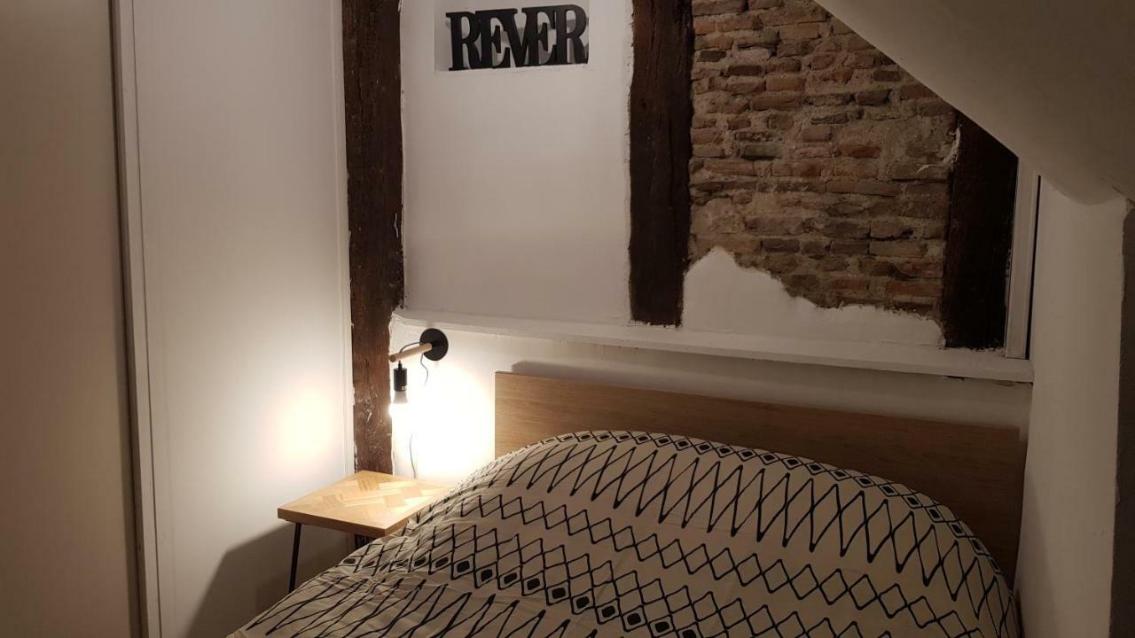 Appartement Avec Cour ★ Spacieux ★ Hyper Centre Castres  Exteriör bild